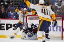 Predators Avalanche Hockey