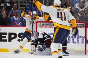 Predators Avalanche Hockey