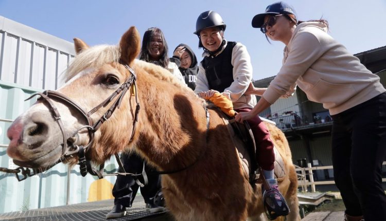 Taiwan Horse Therapy