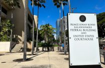 Fake Pilot Free Flights