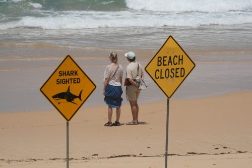 Australia Shark Attacks