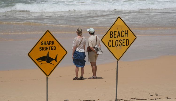 Australia Shark Attacks