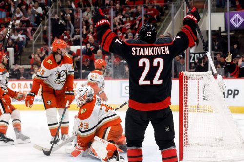 Ducks Hurricanes Hockey