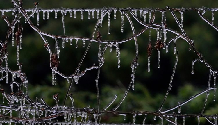 Frozen Florida Weather