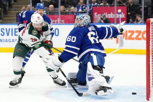 Wild Maple Leafs Hockey