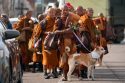 Buddhist Monks Peace Walk