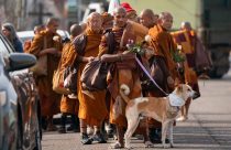 Buddhist Monks Peace Walk