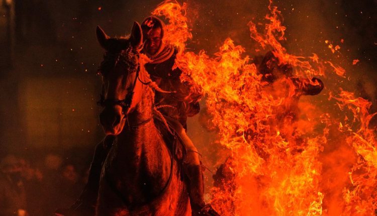 APTOPIX Spain Saint Anthony Animals