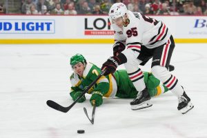 Blackhawks Wild Hockey
