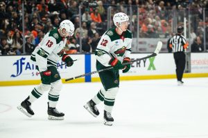 Wild Ducks Hockey