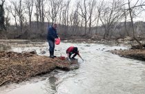 Potomac River Sewage