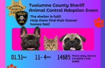 Tuolumne County Sheriff’s Animal Control adoption event graphic