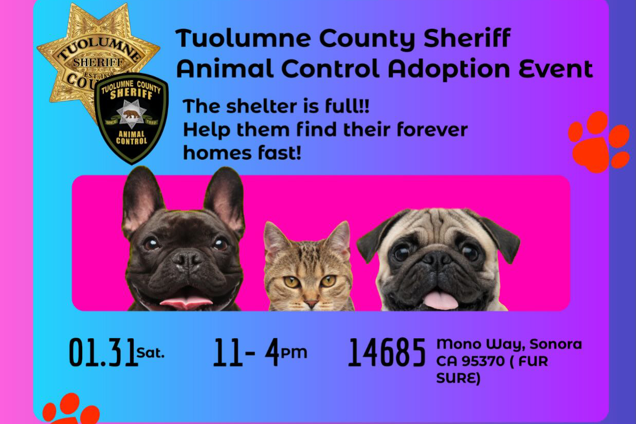 T.C. Animal Shelter Full And Making Adopting Easy T.C. Animal Shelter Full And Making Adopting Easy