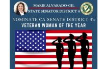 Women of the Year nominees