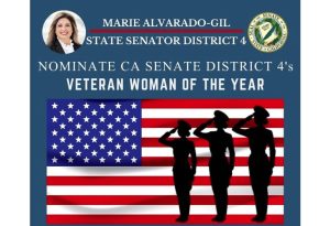 Women of the Year nominees