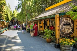Yosemite Mountain Sugar Pine Railroad in Fish Camp