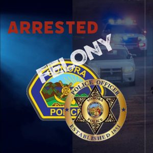 Sonora Woman Arrested On Felony Drug Possession Charge