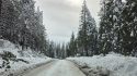 Calaveras County Sheriff's Office requests motorists avoid Highway 4 past Murphys—CCSO photo