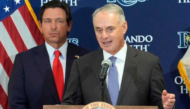 Rays Stadium Baseball