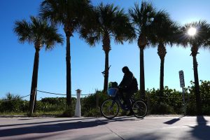 Winter Weather Florida