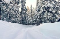 California Avalanche