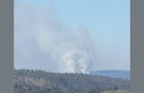 CAL Fire prescribed burn in Calaveras Big Trees State Park—Photo by Larry England