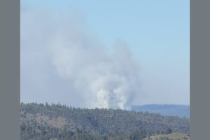 CAL Fire prescribed burn in Calaveras Big Trees State Park—Photo by Larry England