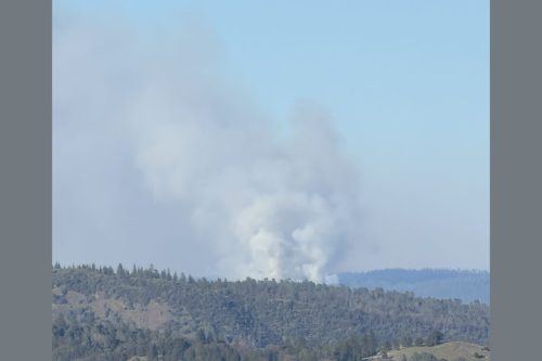 CAL Fire prescribed burn in Calaveras Big Trees State Park—Photo by Larry England