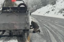 Driver pulled over on the fast lane shoulder and putting on chains—CHP photo