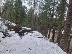 Tuolumne Main Canal Repairs - PG&E Image