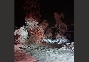 Downed Power lines in Tuolumne County - photo by M.A. Olson