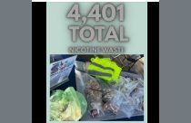 TCHD Tobacco & Litter Pick-Up in Downtown Sonora event—TCPH photo