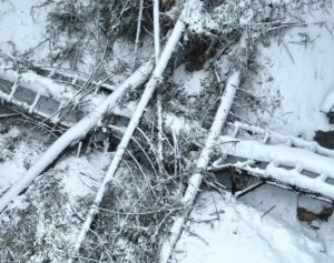 Tuolumne Main Canal Damage