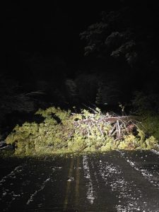 Tree down on Johnny Avenue in Tuolumne County