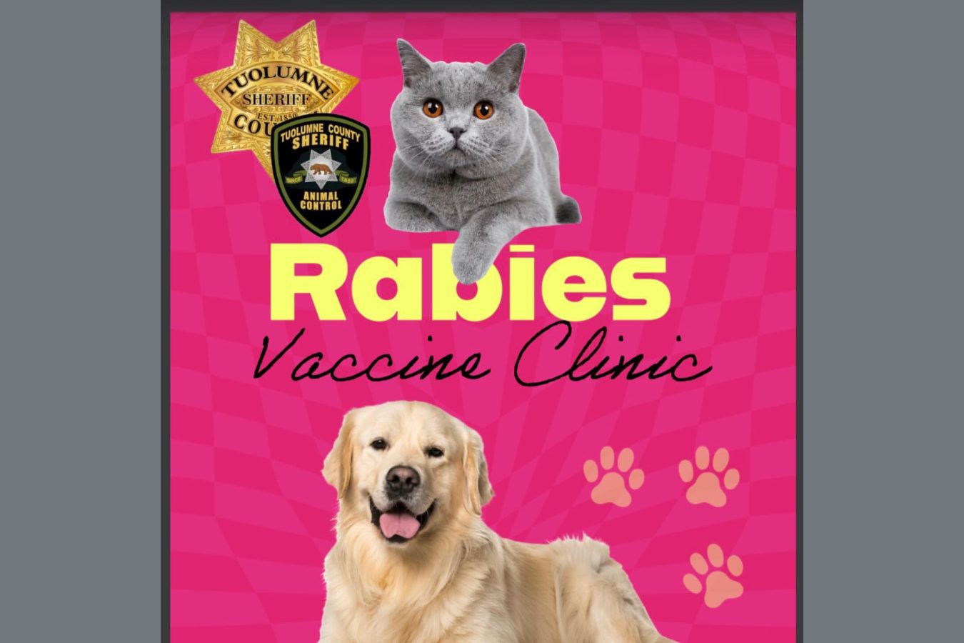 Protecting Pets Against Rabies