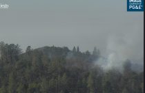 Vegetation fire between Big Oak and Groveland in Tuolumne County—PG&E photo