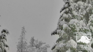 Yosemite Conservancy's live Yosemite Falls webcam image - 2/17/26