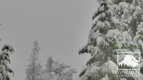 Yosemite Conservancy's live Yosemite Falls webcam image - 2/17/26