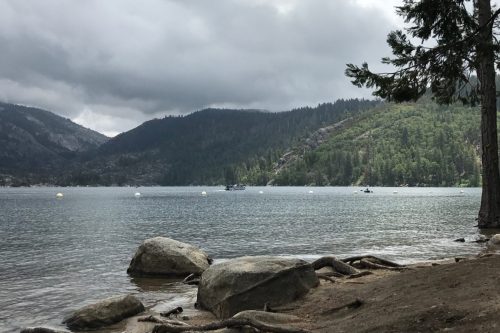 Cloudy Pinecrest Day 2025