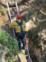 Calf rescued after falling down abandoned mine shaft in Campo Seco in Calaveras County—CCF photo