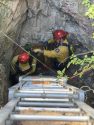 Calf rescued after falling down abandoned mine shaft in Campo Seco in Calaveras County—CCF photo