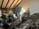 Animal control officer inside the home where more than 30 dogs and a cat were living—MCSACO photo