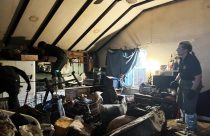 Animal control officer inside the home where more than 30 dogs and a cat were living—MCSACO photo