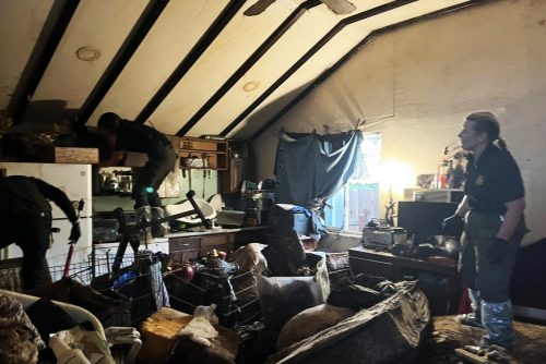 Animal control officer inside the home where more than 30 dogs and a cat were living—MCSACO photo