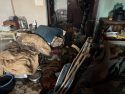 Animal control officer inside the home where more than 30 dogs and a cat were living—MCSACO photo