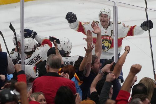 Red Wings Panthers Hockey