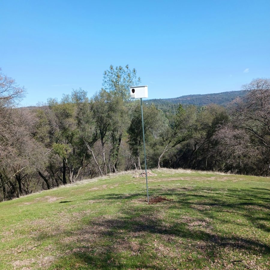 Motherlode Conservation Districts Receive State Grant For Wildlife Nesting Structures