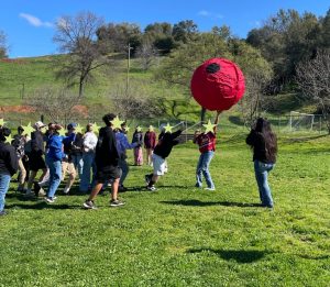 Photo provided by TCPH, Jamestown Elementary students having fun trying out the new PE equipment purchased through the CFHL Program.