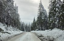 February snow in Calaveras County