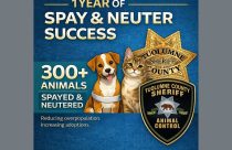 TCSAC flyer celebrating the success of its spay and neuter program